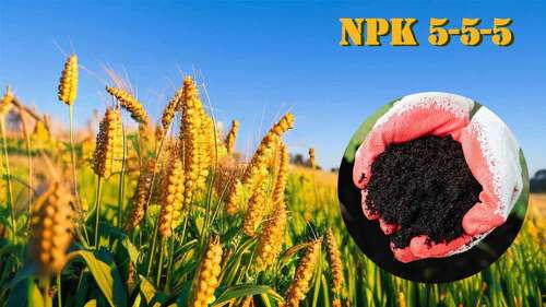 ข่าวบริษัทล่าสุดเกี่ยวกับ คู่มือสุดท้ายของ NPK 5-5-5 ปุ๋ยอินทรีย์